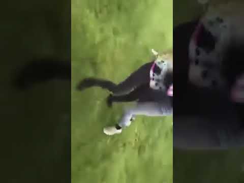 Wendy ortiz fight full video