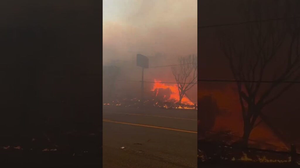 El incendio en Pacific Palisades avanza sin control y amenaza a unas 10 mil viviendas