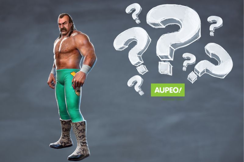 Frequently asked questions about Jake Roberts
