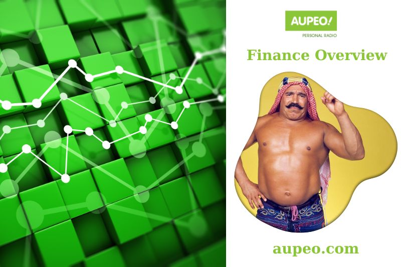 Iron Shake's Financial Review