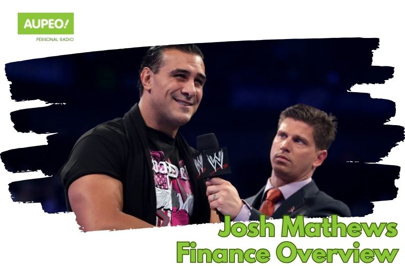 Josh Matthew's financial overview