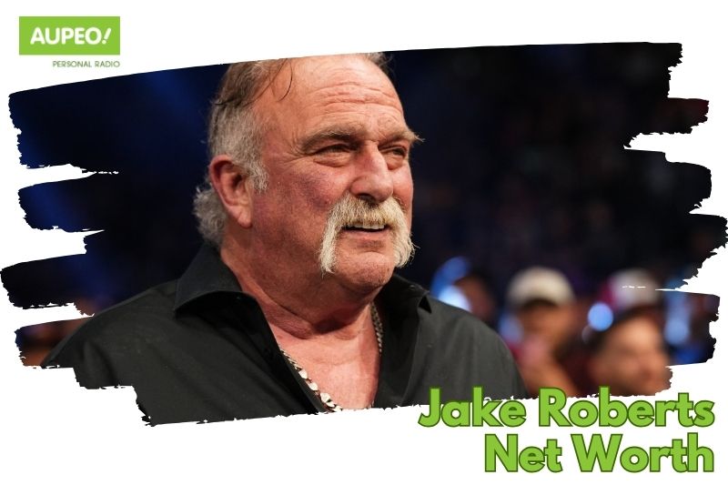 What is Jake Roberts's net value 2024