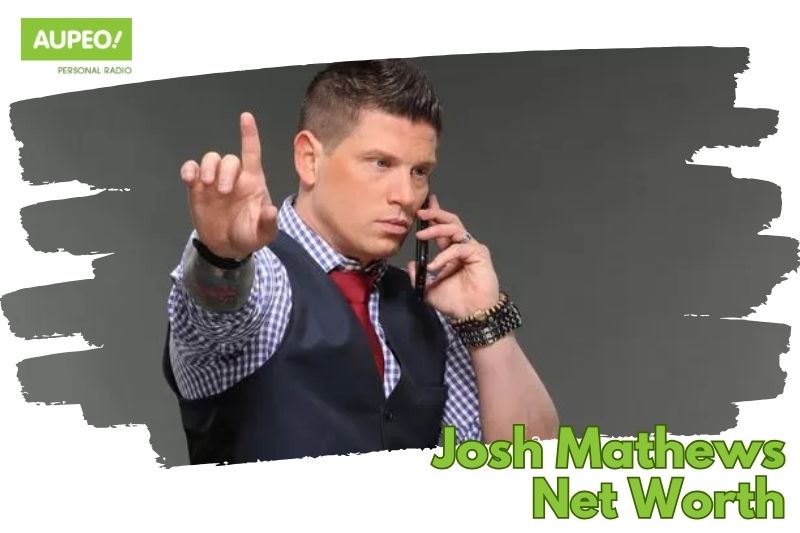 What is Josh Matthew's net value 2024