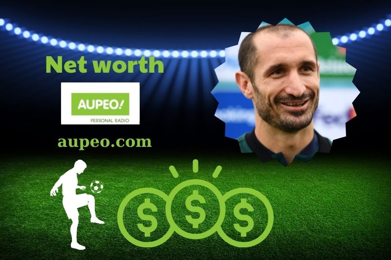 What is the net value of Giorgio Chelin in 2024