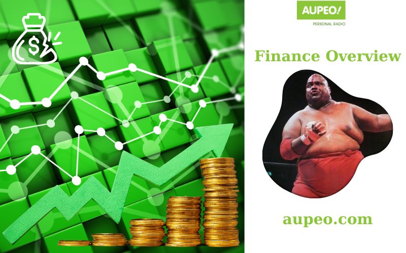 Abdullah Bacher's Financial Review