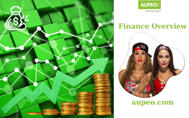 Bella twins' financial reviews