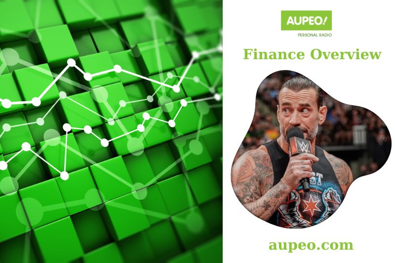 CM Punk Financial Review