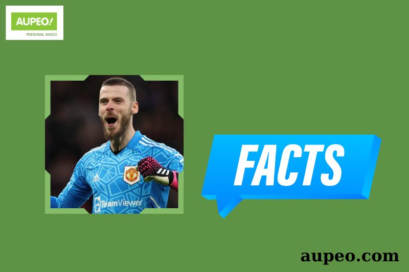 David de gea faster facts