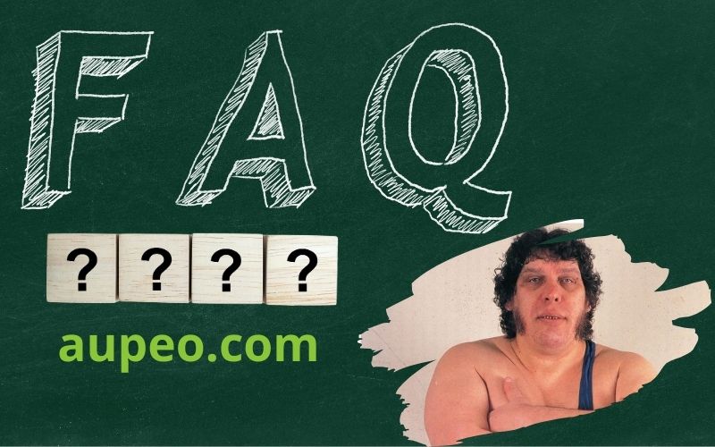 Frequently asked questions about Andre giant