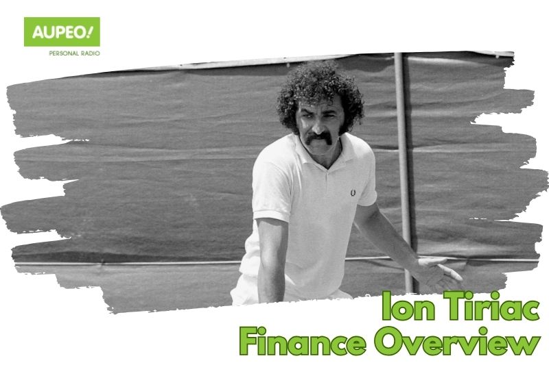Ion Tiriak's Financial Review 2024