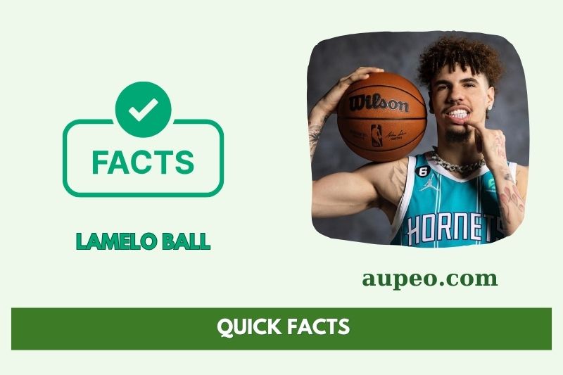 Lamello Ball Fast Facts