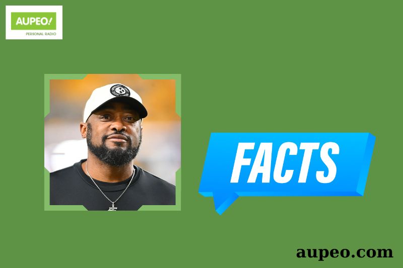 The rapid facts of Mike Tomlin