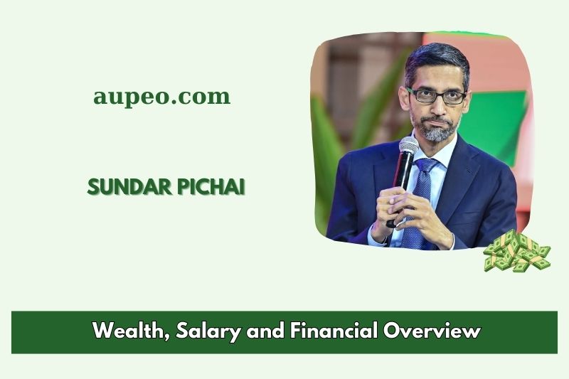 Sundar Pichai Wealth, Salary and Financial Review