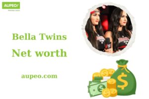 Faqs about Bella Twins
