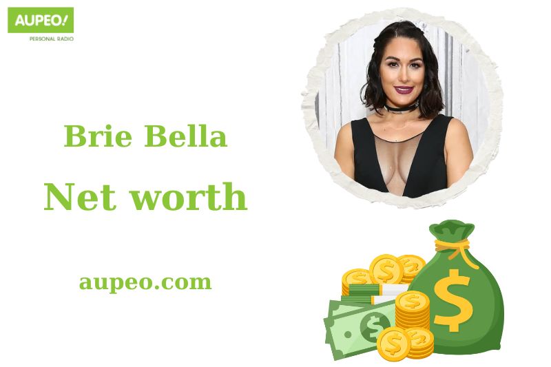 What is Brie Bella Net Worth 2024: Income, Business Ventures and Career Achievements