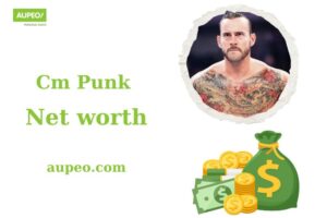 FAQs about Cm Punk