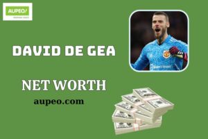 David De Gea Wealth, Salary and Financial Overview