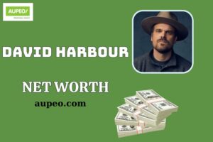 What is David Harbour Net Worth 2025: Salary, Wealth, and Financial Breakdown