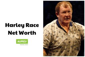 Harley Race Battles and Triumphs