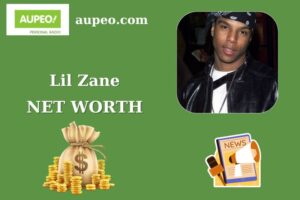 Lil Zane Wealth, Salary, and Finance Overview