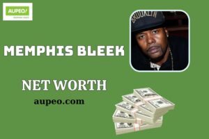 Memphis Bleek Wealth, Salary and Financial Overview