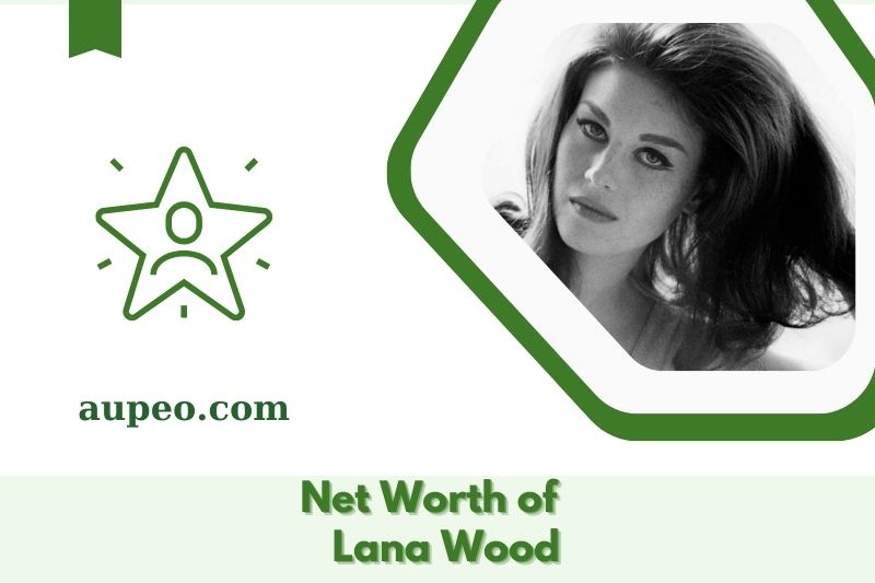 What is the net value of Lan Wood in 2025
