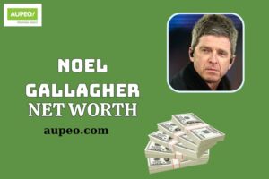 Noel Gallagher Wealth, Salary and Financial Overview