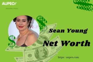 Sean Young Wealth, Salary and Finance Overview