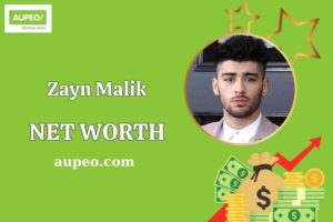 Zayn Malik Wealth, Salary, and Financial Overview