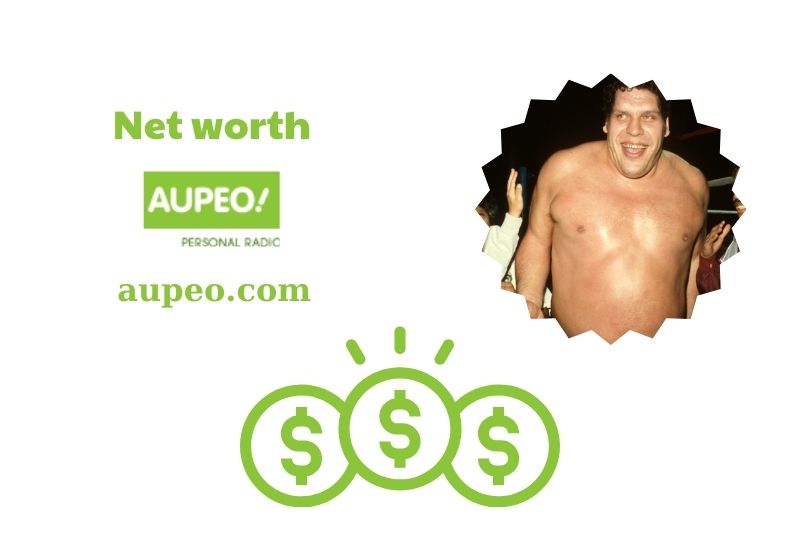 What is the net value of Andre giant in 2024