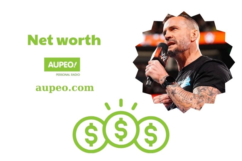 What is the net value of CM Punk in 2024