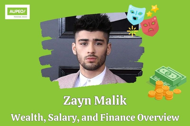 Zeine Malik's wealth, salary and financial review