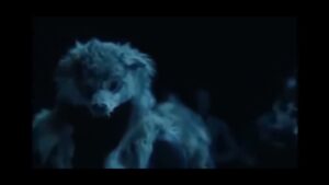 ye hh video