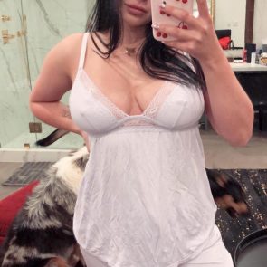 Ariel Winter tits through nightie