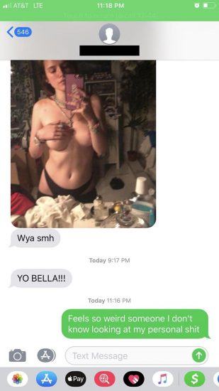 Bella Thorne leaked selfies and private chats