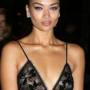 Shanina Shaik nipples transparent