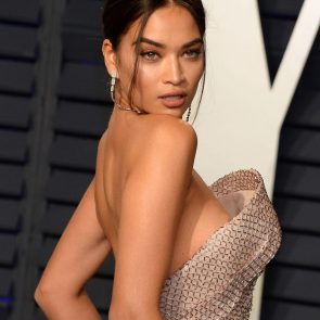 Shanina Shaik's boobs slipped out