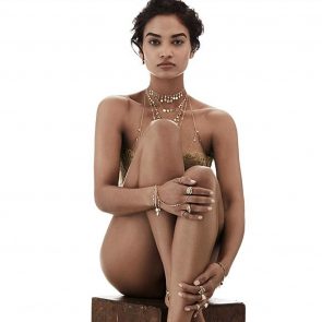 Shanina Shaik sitting nude