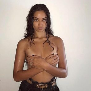 Shanina Shaik Hand Bra