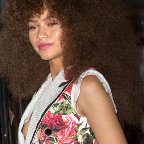 Zendaya nip slip