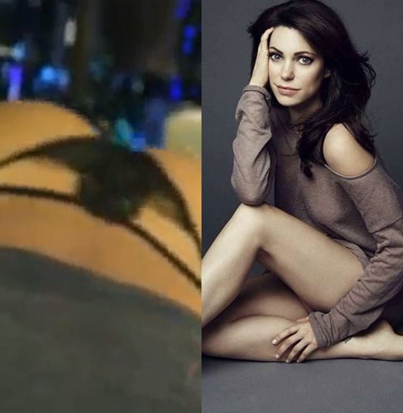 Courtney Henggeler Nude Pics and Leaked Porn