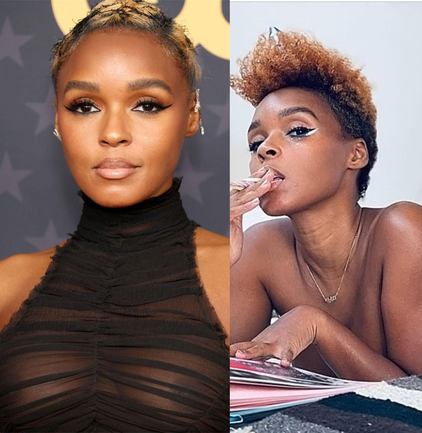 Janelle Monae Nude Pics And LEAKED Sex Tape