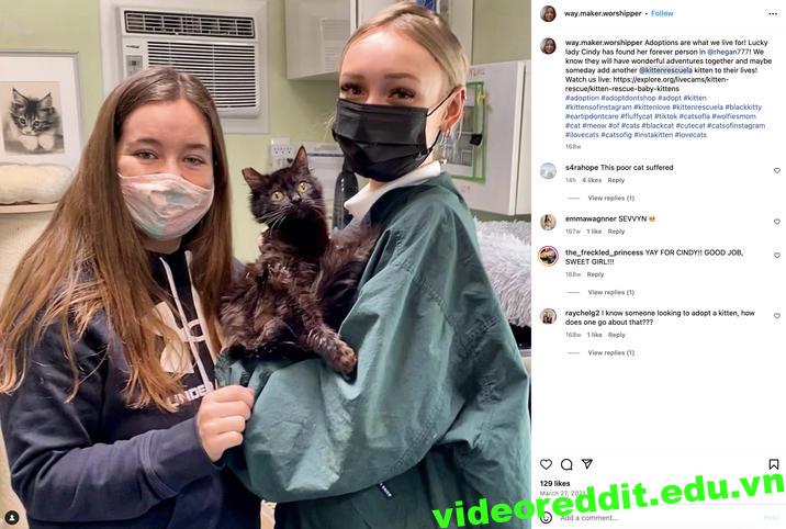 Rhegan777 Snark Reddit: Uncovering The Truth About Animal Abuse