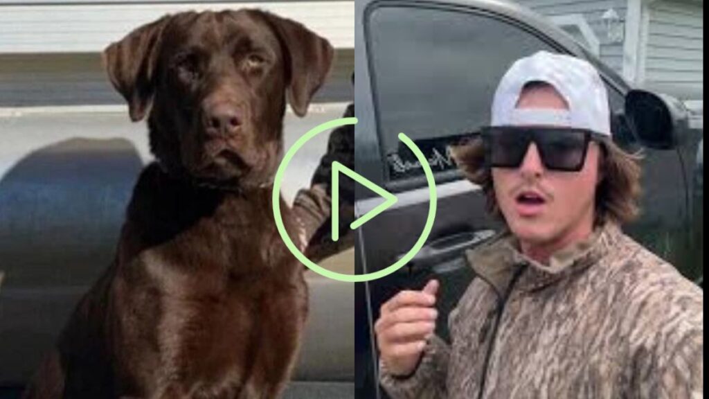 cole prevost dog video twitter