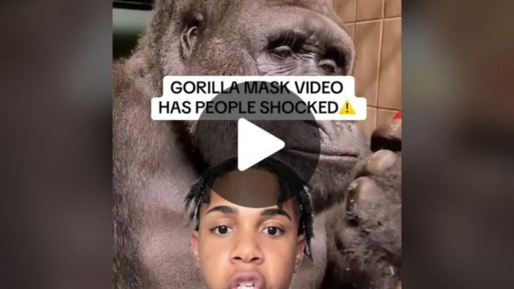 Gorilla Mask viral video