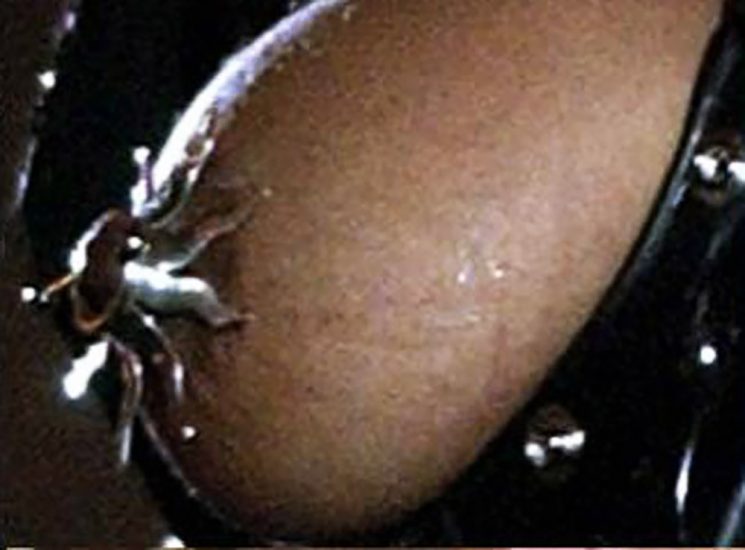 janet jackson nude nipple