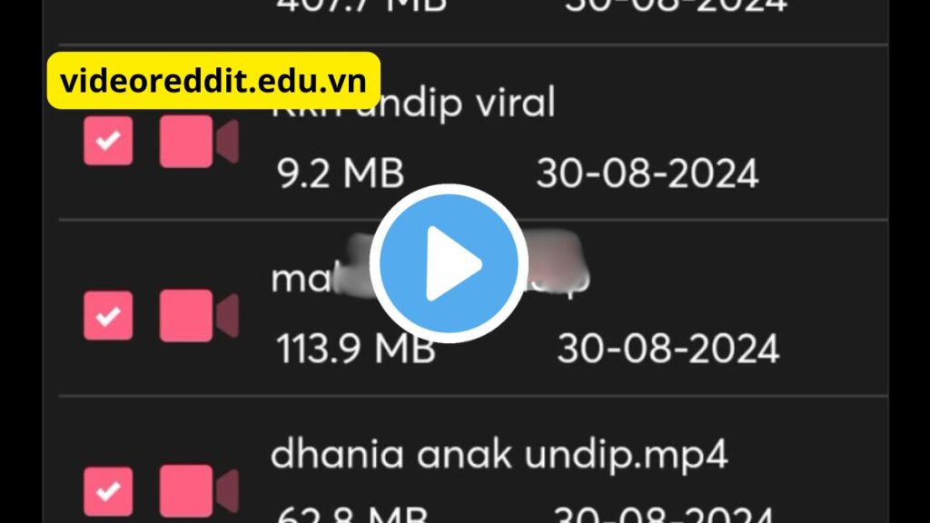 6 Link Video KKN UNDIP Viral Di Twitter, Ini Fakta Sebenarnya