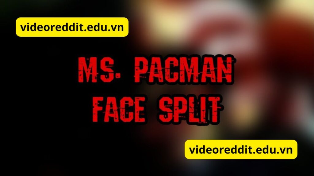 miss pacman video forte