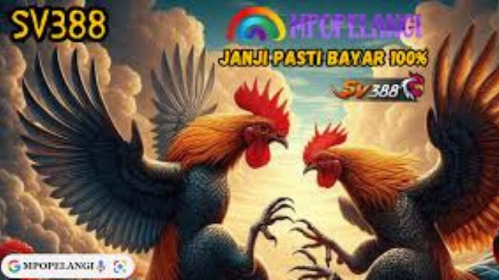 Sabung Ayam Mpopelangi