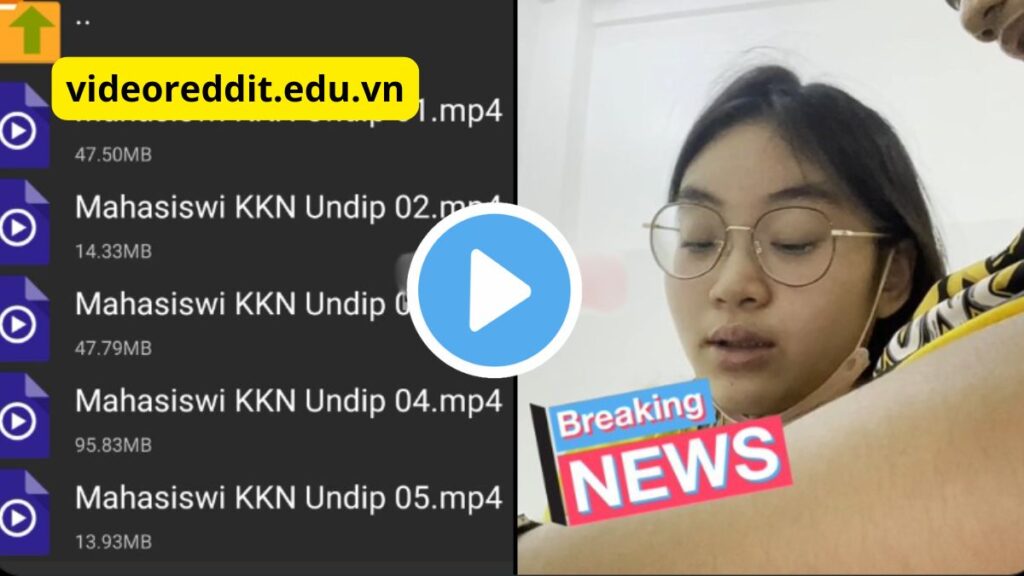 Video Asli KKN UNDIP Viral di MediaFire dan Terabox Full Mp4